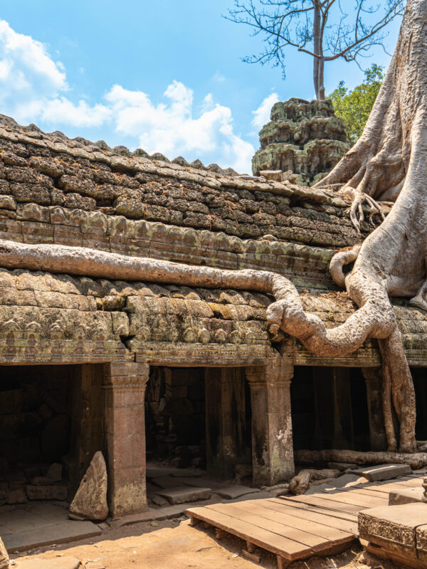 Ta Prohm (Tom Raider) Temple Tour Cambodian Travel Immersion.