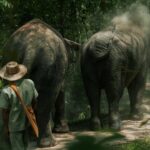 The elephants at Kulen mountain
